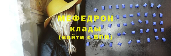 индика Белокуриха