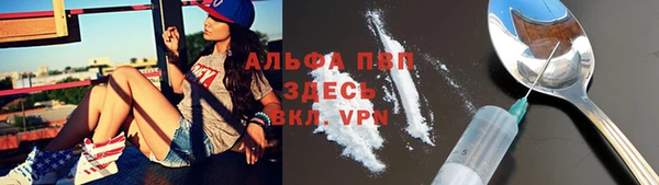 индика Белокуриха