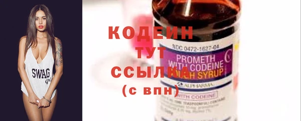 индика Белокуриха