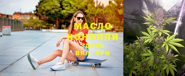 индика Белокуриха