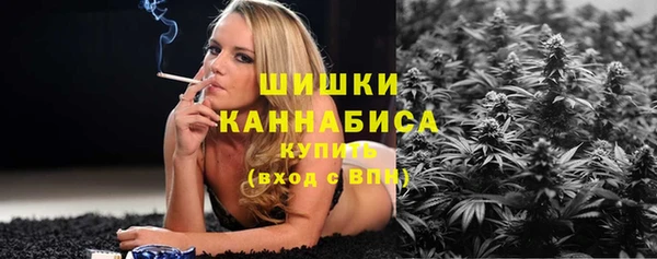 индика Белокуриха