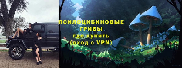 индика Белокуриха