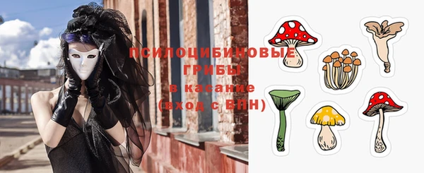 индика Белокуриха