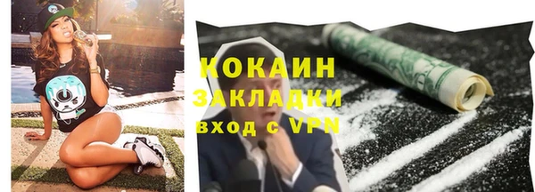 индика Белокуриха